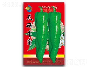 ��Tţ��-�����N��-���ǷN�I(y��)