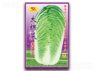 ��ò�-�ײ˷N��-���ǷN�I(y��)