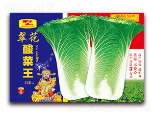 �仨�����-�ײ˷N��-���ǷN�I(y��)