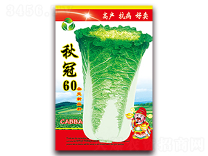 ���60-�ײ˷N��-���ǷN�I(y��)