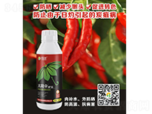 ̫ꖂ�-�̠��S