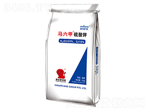 �R���������-������