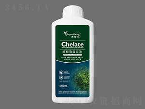 ø�⺣��ԭҺ-������-��˼�D