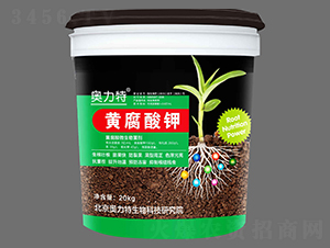 �S�����-�W����-��˼�D