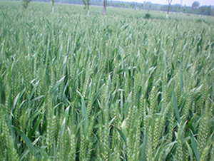 ��(l��)��608-С���N��-�S��(l��)�N�I(y��)