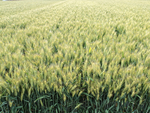 ��(l��)��L598-С���N��-�S��(l��)�N�I(y��)