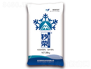 ����ø�����������-��s-��h����