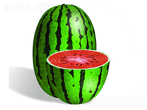 �S����̖-���ϷN��-�S���N�I(y��)