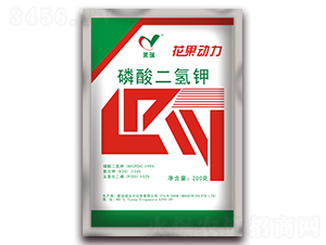 ��������-������(d��ng)��-��h����