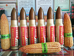 ꃿ�9̖(h��o)-���׷N��-�S��(l��)�N�I(y��)