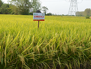 �S�Ƀ�(y��u)�Aռ-ˮ���N��-�S��(l��)�N�I(y��)