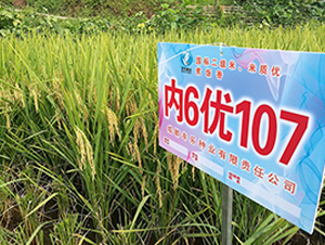 ��(n��i)6��(y��u)107-ˮ���N��-�S��(l��)�N�I(y��)