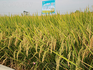 �Ƀ�(y��u)671-ˮ���N��-�S��(l��)�N�I(y��)