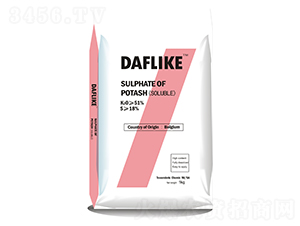 ���������-�¸��R��-����