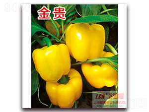 ���F-�����N��-Ǭ�·N�I(y��)