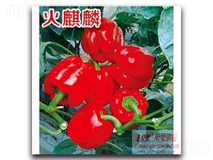 ������-�����N��-Ǭ�·N�I(y��)