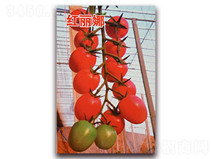 Ǭ�¼t����-���ѷN��-Ǭ�·N�I(y��)