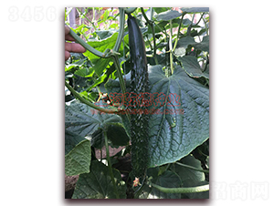 Ǭ��107-�S�ϷN��-Ǭ�·N�I(y��)