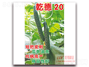 Ǭ�µ�ʥ-�S�ϷN��-Ǭ�·N�I(y��)