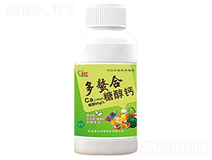 �������Ǵ��}-���ص���