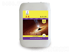 ����-����-�������