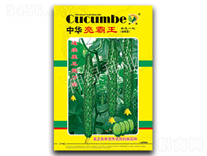 ���A������-�S�ϷN��-�A��N�I(y��)