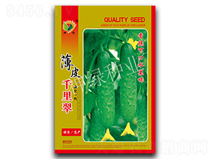 ��Ƥǧ���-�S�ϷN��-�A��N�I(y��)