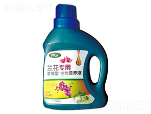 �m�����Ý�s��ֲ��I�B(y��ng)Һ-�и�����