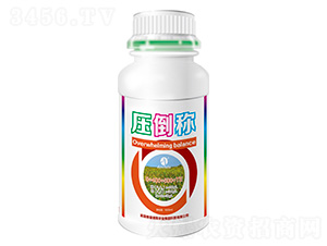 �����Q-�W�׵�˹