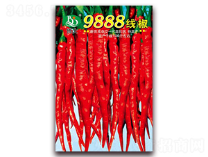 9888����-�����N��-�β���