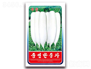 �������}��-�}���N��-�β���