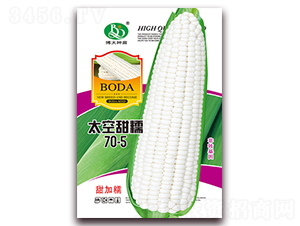 ̫����Ŵ70-5-��Ŵ���׷N��-�β���