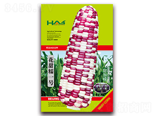 ����Ŵһ̖-��Ŵ���׷N��-�β���