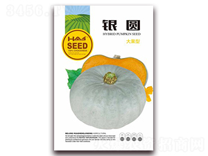 �y�A-�ϹϷN��-�β���