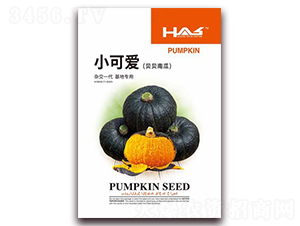 С�ɐ�ؐؐ�Ϲ�-�ϹϷN��-�β���