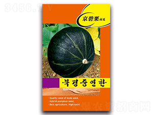 �������Ϲ�-�ϹϷN��-�β���