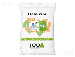 �}�V���L-�D��-ͬ������