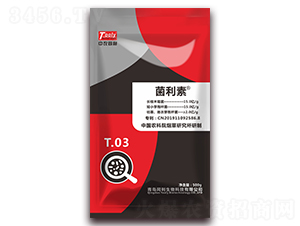 ������-ͬ������