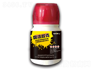 �����z��-�S������