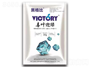 ���~ӭ�G-�ڸ��-�S������