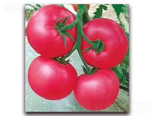 �Z��-������ѷN��-���S��