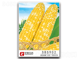 SBS902-�����׷N��-�A̩���