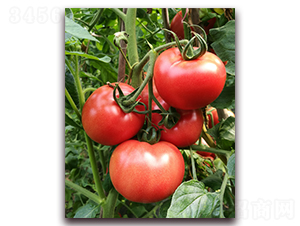 ����18-98-���ѷN��-���i