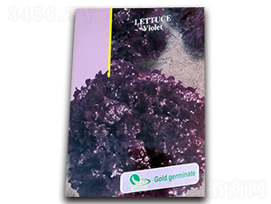 ���_�m-���˷N��-Ǭ���N�I(y��)