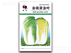 �����S���~-�ײ˷N��-Ǭ���N�I(y��)