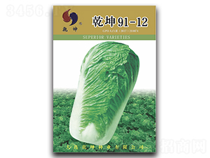 Ǭ��91-12-�ײ˷N��-Ǭ���N�I(y��)