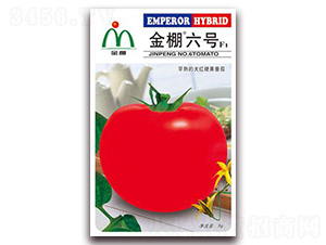 ������̖(h��o)-��t���ѷN��-���i