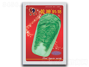 Ǭ��91-18-�ײ˷N��-Ǭ���N�I(y��)