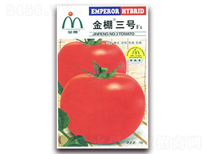 ������̖(h��o)-��t���ѷN��-���i