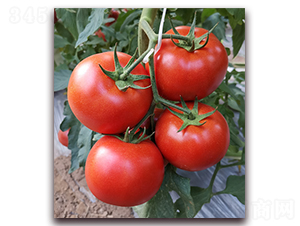 ����128-��t���ѷN��-���i